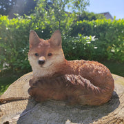 Resting Fox Cub | Resin Home or Garden Decoration | XRL-FCB6-D