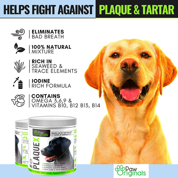Plaque X 100% Natural Plaque off & Tartar Remover for Dogs & Cats | Breath Freshener for Dogs, Cats & Pets | 180G | No Toothbrush & Supports Gum & Teeth Health