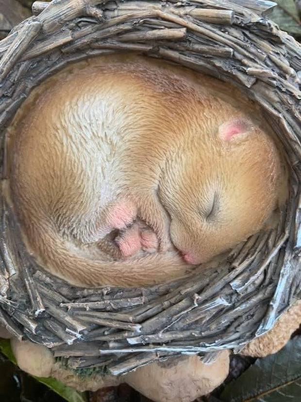 Real Life Woodland Dormouse Asleep in Nest | Resin Home or Garden Decoration | NF-DM09-F