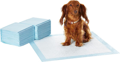 Dog and Puppy Training Pads, Leakproof, 5-Layer Design with Quick-Dry Surface, Regular, Pack of 50, Blue