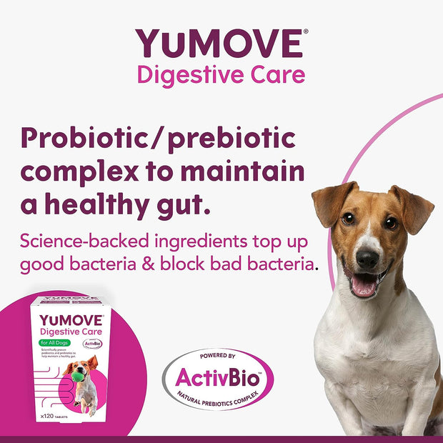 Digestive Care for All Dogs | Previously Yudigest | Probiotics for Dogs with Sensitive Digestion, All Ages and Breeds | 120 Tablets