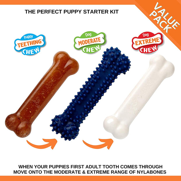 Puppy Starter Kit, Pack of 3 Dental Dog Chew Bones, Teething, Gentle, Graduate, Small, for Puppies up to 11 Kg