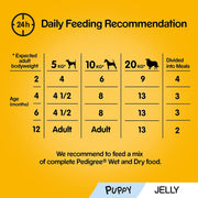 Junior Wet Dog Food for Young Dogs and Puppies, 12 Pouches (12 X 100 G)