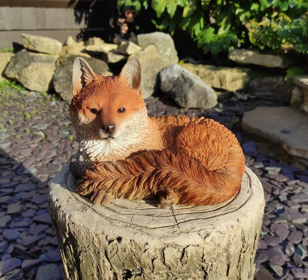 Resting Fox Cub | Resin Home or Garden Decoration | XRL-FCB6-D