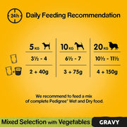Mixed Selection in Gravy 40 Pouches, Adult Wet Dog Food, Megapack (40 X 100 G)
