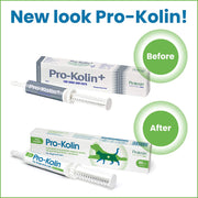Pet Health Pro-Kolin for Dogs and Cats Probiotic Paste and Syringe, 60 Ml (Pack of 1)