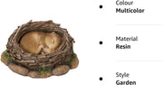 Real Life Woodland Dormouse Asleep in Nest | Resin Home or Garden Decoration | NF-DM09-F