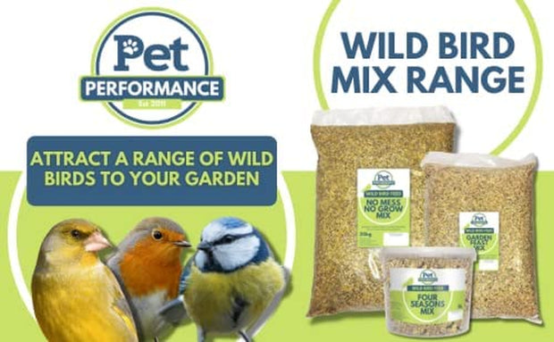 Pet Performance Wild Bird Four Seasons Mix 5 Litre Tub – All Year-Round Wild Bird Seed – 100% Natural Ingredients – Suitable for All Wild Bird Species