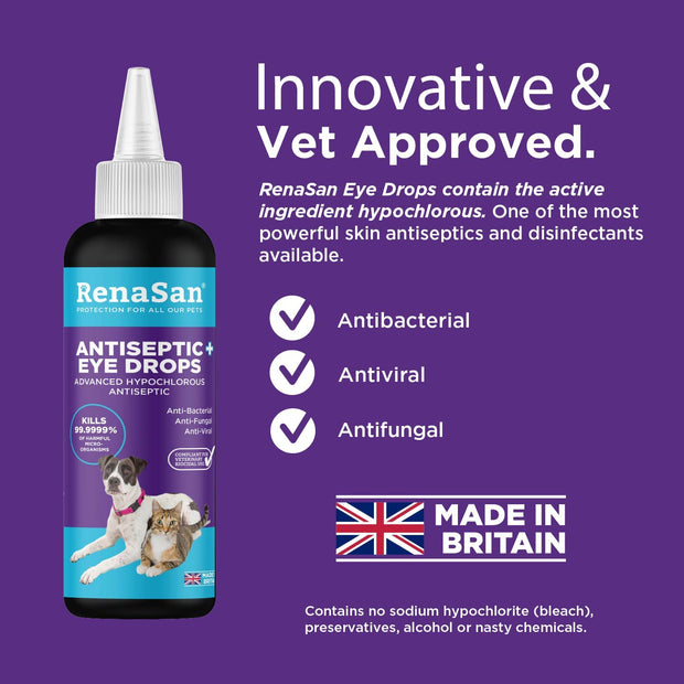 Antiseptic Eye Drops (60 Ml) – Fights Infection, Alcohol-Free, Non-Irritating and Natural Eye Cleaning Solution for Dogs, Cats, Reptiles, Poultry, Avian & Livestock (NEW PACKAGING)