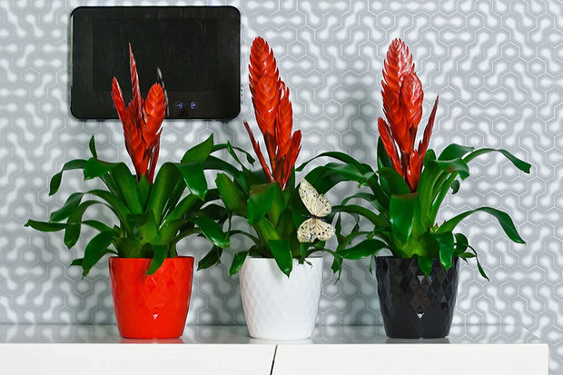 Black Plant Pots Indoor 18Cm Diameter – round Plant Pot with Glossy Crystal Surface – Decorative Flower Pot – Plastic Flower Pots outside (Ø18Cm, Black Crystal)