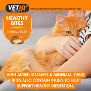 Healthy Bites Hairball Remedy Cat Treats, 4X 65G, Helps Prevent & Remove Cat Hairballs, Cat Supplement with No Artificial Ingredients, Cat & Kitten Health, Omega 3 & 6 Fatty Acids