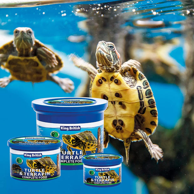 | Turtle & Terrapin Complete Food | Helps Support Health & Vitality |Includes Essential Vitamins & Minerals | Made with Natural Ingredients | Highly Palatable | 200G