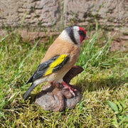 Goldfinch Bird | Resin Home or Garden Decoration | WBC-GOLF-F