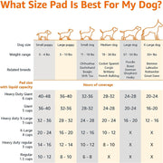Dog and Puppy Training Pads, Leakproof, 5-Layer Design with Quick-Dry Surface, Regular, Pack of 50, Blue