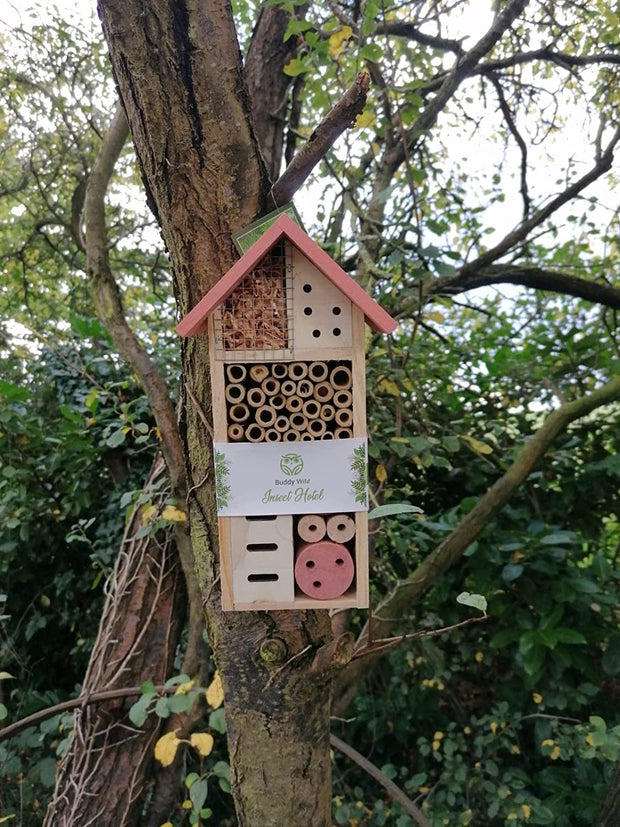 Insect Bee House - 13X8.5X26Cm - Eco-Friendly Bug Hotel for Bees Butterflies Insects in Garden - Kid Friendly Weather Resistant Hanging Bee Home from Natural Wood