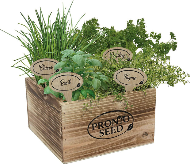 Grow Your Own Kitchen Herbs Kit - Contains 4 Seed Varieties (Basil, Thyme, Chives and Parsley). Ideal Gardening Gift for Women and Men Packaged in Reusable Wooden Gift Box